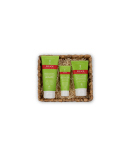 Speick Natural Aktiv Geschenkset &bdquo;Gr&uuml;ne Pflegemomente&ldquo; &ndash; Pflegek&ouml;rbchen mit Duschgel, Body Lotion &amp; Handbalsam